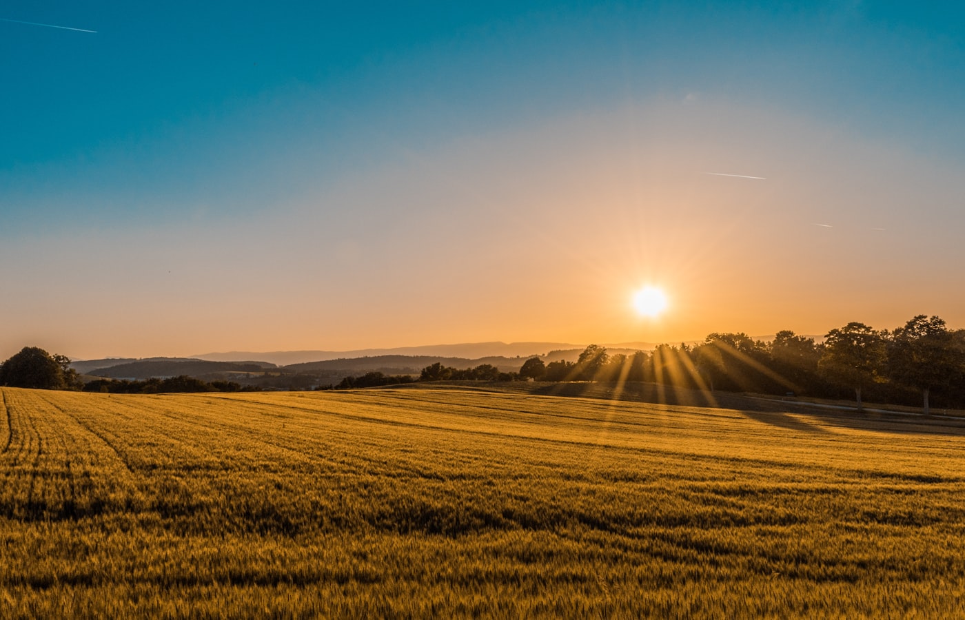 Agriculture